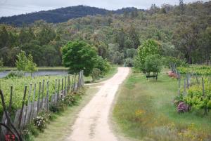 a dirt road with a fence and flowers at Twisted Gum Vineyard Cottage in Ballandean