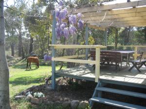 une terrasse en bois avec une table et un cheval en arrière-plan dans l'établissement Twisted Gum Vineyard Cottage, à Ballandean 3 autres photos