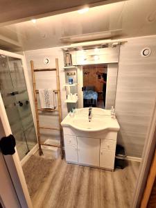 a bathroom with a sink and a shower at Chambre d'hôte chez Nathalie & Roland in Massiac