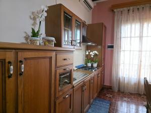 a kitchen with wooden cabinets and a sink at Villa Sette Nani in Torre Lapillo