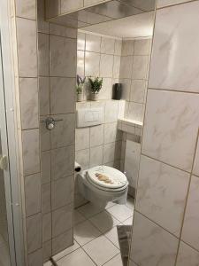 a small bathroom with a toilet with a glass door at Ferienwohnung Mutzelmann in Kurort Gohrisch +4 photos