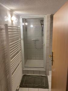 a shower with a glass door in a bathroom at Ferienwohnung Mutzelmann in Kurort Gohrisch