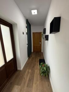 TV a/nebo společenská místnost v ubytování Hámor Panzió
