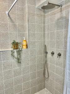 a bathroom with a shower with a shower head at Beautiful studio on Tel Aviv beach in Tel Aviv +8 photos