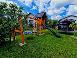 a playground with a slide and an apple tree at Pensiunea Adriana in Vadu Izei