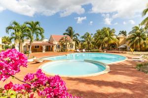 Bazén v ubytování L'Oasis des Vacances nebo v jeho okolí