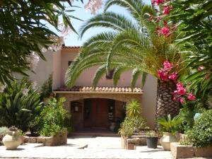 a house with a palm tree in front of it at Auberge U Licettu in Cuttoli-Corticchiato