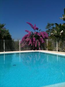 una piscina blu con recinzione e fiori viola di Auberge U Licettu a Cuttoli-Corticchiato