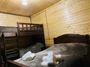 a bedroom with two bunk beds in a cabin at Vardzia-Chachkari Cottage ,,SEFE" in Gogasheni