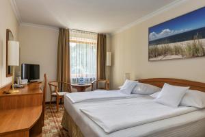 ein Hotelzimmer mit einem Bett, einem Schreibtisch und einem Fernseher in der Unterkunft Hotel Bartan Gdansk Seaside in Danzig