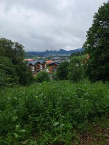 vista su una città da un prato di Vista Studio a Bakuriani