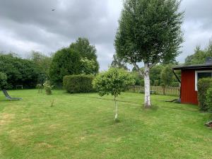 Zahrada ubytování Zur Schwalbe 8