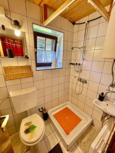 a bathroom with a toilet and a shower and a sink at Vacation cottage house Enya in Koprivnik v Bohinju +46 photos