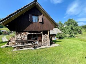 a log cabin with a window on a grass field at Vacation cottage house Enya in Koprivnik v Bohinju