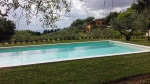 uma piscina na relva em frente a uma casa em Villa Bigio em Assisi