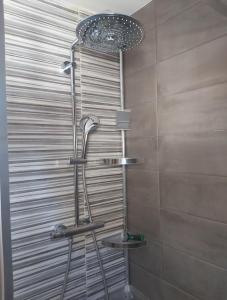 una doccia in un bagno con una porta in vetro di Chez Jeanine Maison Familiale a Schaeffersheim