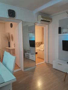 TV a/nebo společenská místnost v ubytování Apartmani Nis