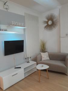TV a/nebo společenská místnost v ubytování Apartmani Nis