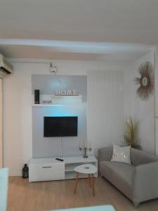 TV a/nebo společenská místnost v ubytování Apartmani Nis
