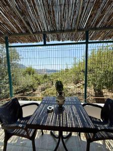 a table with a potted plant sitting on a patio at Pashaj Himare Guest House in Himare