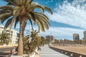 a row of palm trees on a boardwalk at Akimaria Residence in Oropesa del Mar