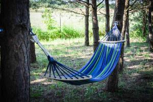 Ogród w obiekcie Domki nad jeziorem