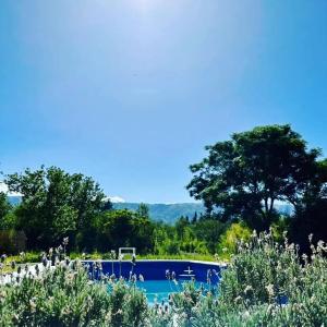 a swimming pool with a tree in the background at La higuera in Cerro de Oro