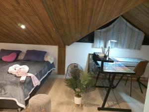 ein Schlafzimmer mit einem Bett, einem Schreibtisch und einem Tisch in der Unterkunft Maison spacieuse à La Rivière Saint-Louis in Les Cocos