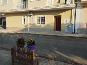 a house with two potted plants on the side of the street at Agorà 1 in Parghelia