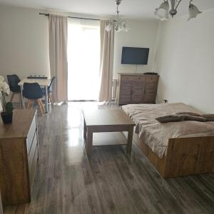 a bedroom with a bed and a table and a television at Apartament Komorniki - Osiedla na Skraju Lasu in Komorniki