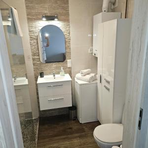 a bathroom with a toilet and a sink and a mirror at Apartament Komorniki - Osiedla na Skraju Lasu in Komorniki +4 photos