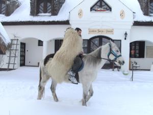 Ein Mann reitet ein Pferd im Schnee in der Unterkunft Gedeon Tanya Panzió in Jakabszállás