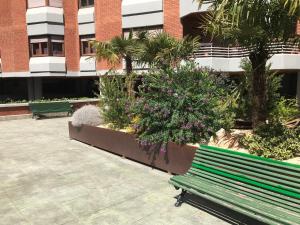 A garden outside Pension Berceo