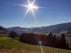 Naturlandschaft in der Nähe der Ferienwohnung