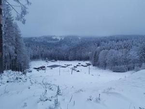 a field covered in snow with trees and houses at Wellness Home with Garden in Schnett