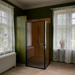 a shower in a bathroom with green walls and windows at Singel room in big house in Molkom
