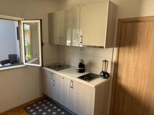 Kuchyň nebo kuchyňský kout v ubytování Apartment Luce + 22 fotografií