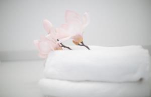 Fotografie z fotogalerie ubytování Opatija Loft with Rooftop Garden Terrace by the Beach v destinaci Opatija + 103 fotografií