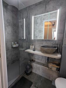 a bathroom with a sink and a shower at Petit appartement 1 Le charmant in Sarreguemines