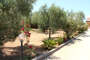 a garden with roses and trees and a street light at La Rosa dei Venti in Alghero +23 photos