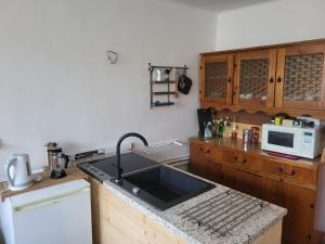 a kitchen with a sink and a microwave at Apartmán u Klínovce in Měděnec