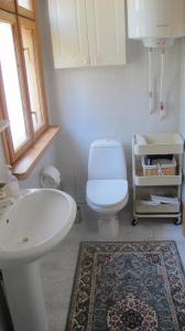 a bathroom with a white toilet and a sink at Smilčių namelis in Palanga +33 photos