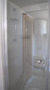 y baño con ducha y puerta de cristal. en Smilčių namelis, en Palanga