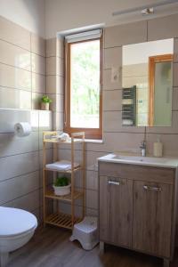 a bathroom with a sink and a toilet and a mirror at Mirtusz Vendégház in Verőce