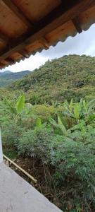 Φωτογραφία από το άλμπουμ του Caña y Montaña σε San Carlos