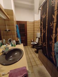 une salle de bain avec un lavabo et des toilettes dans l'établissement Quadrilocale con 2 bagni, à Castellanza