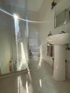 a bathroom with a shower and a sink and a toilet at Montijo Garden - Guest House in Montijo +30 photos