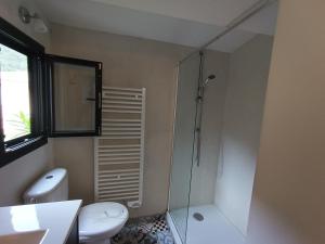 a bathroom with a shower and a toilet and a sink at Cap sur la mer - casa Paoli in Brando +20 photos
