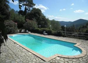a large blue swimming pool sitting on a stone patio at Chambres d'hôtes du Domaine de Cabrières in Saint-Jean-du-Gard