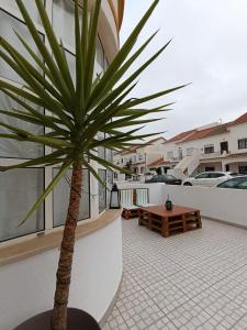a palm tree on the balcony of a building at Bal&Bal in Ferrel +24 photos